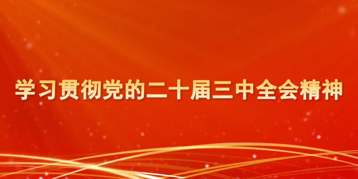 學習貫徹黨的二十屆三中全會精神